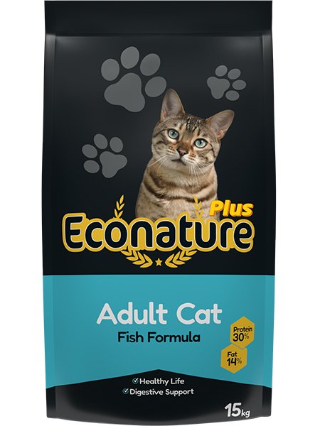 Adult Cat