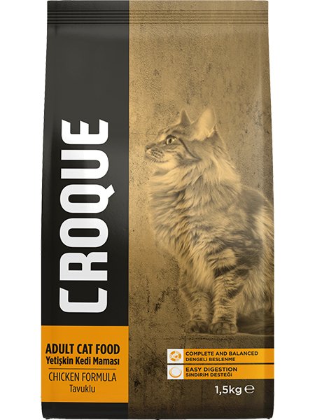 Adult Cat