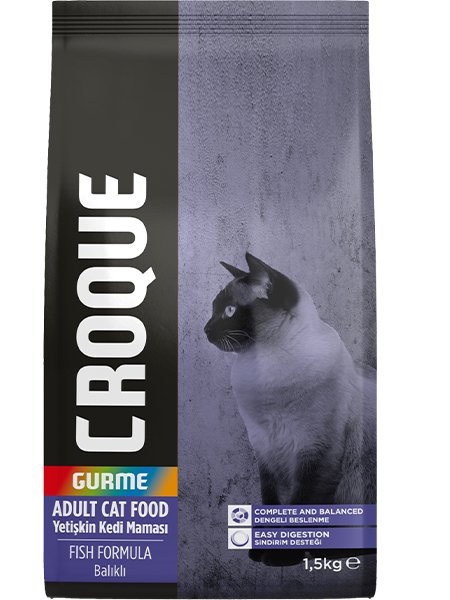 Adult Cat