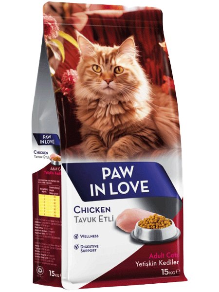 Adult Cat
