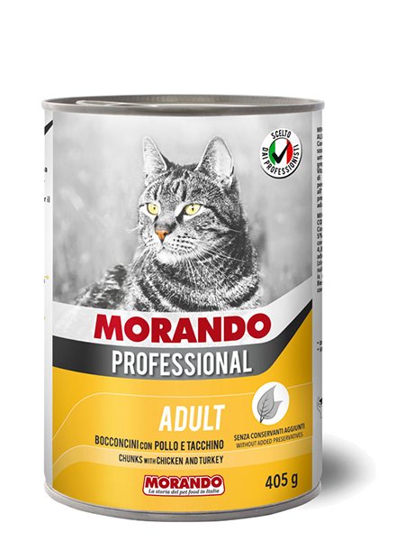 Adult Cat