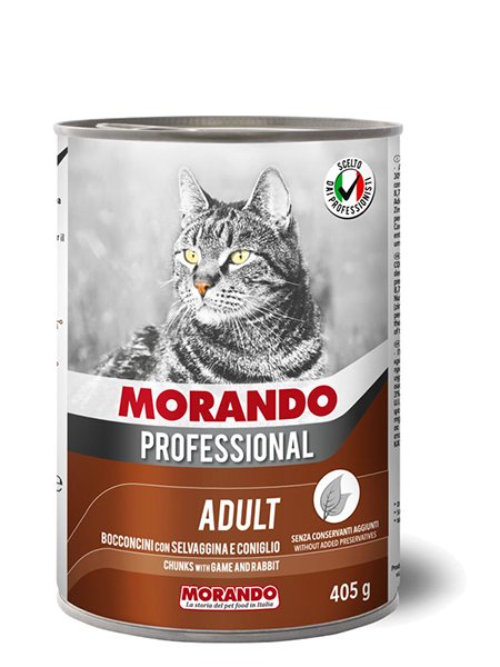 Adult Cat