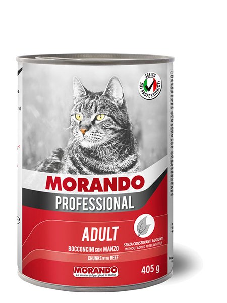 Adult Cat