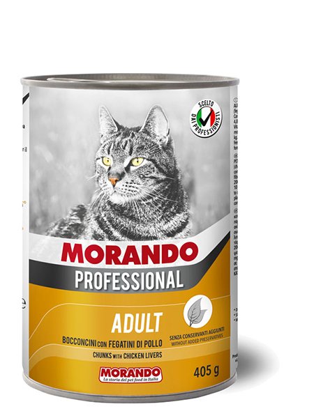 Adult Cat