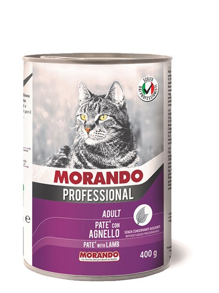 Adult Cat