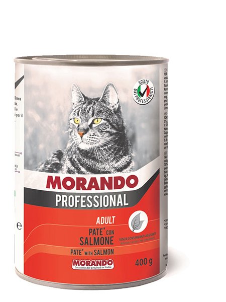 Adult Cat