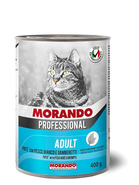 Adult Cat