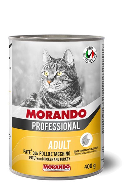 Adult Cat